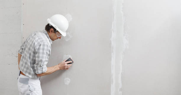 Best Black Mold Removal  in Hobbs, NM